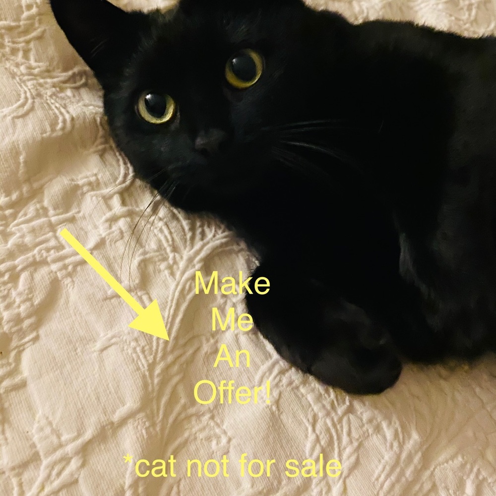 MAKE ME AN OFFER!
